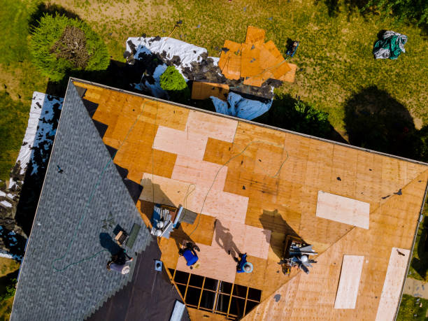 Best Metal Roofing Contractor  in Holyoke, MA